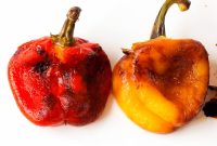 The Art of Roasting Bell Peppers