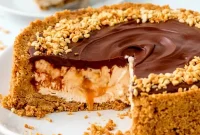 Decadent Nutella Salted Caramel Cheesecake