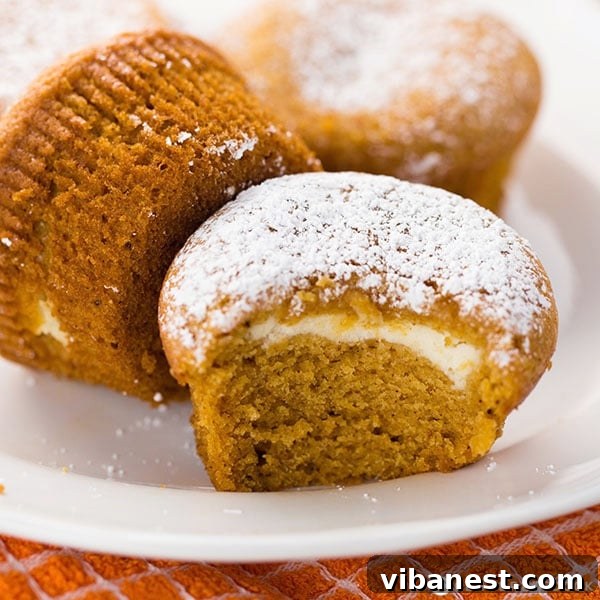 pumpkin cream cheese muffins 2.jpg A second view of freshly baked pumpkin cream cheese muffins, dusted with powdered sugar.