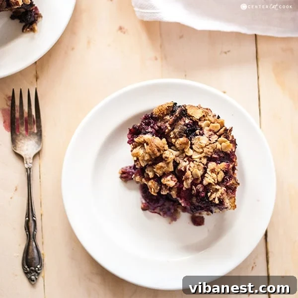 Berry Crumble Cake Final Product Berry Crumble Cake Ready to Serve