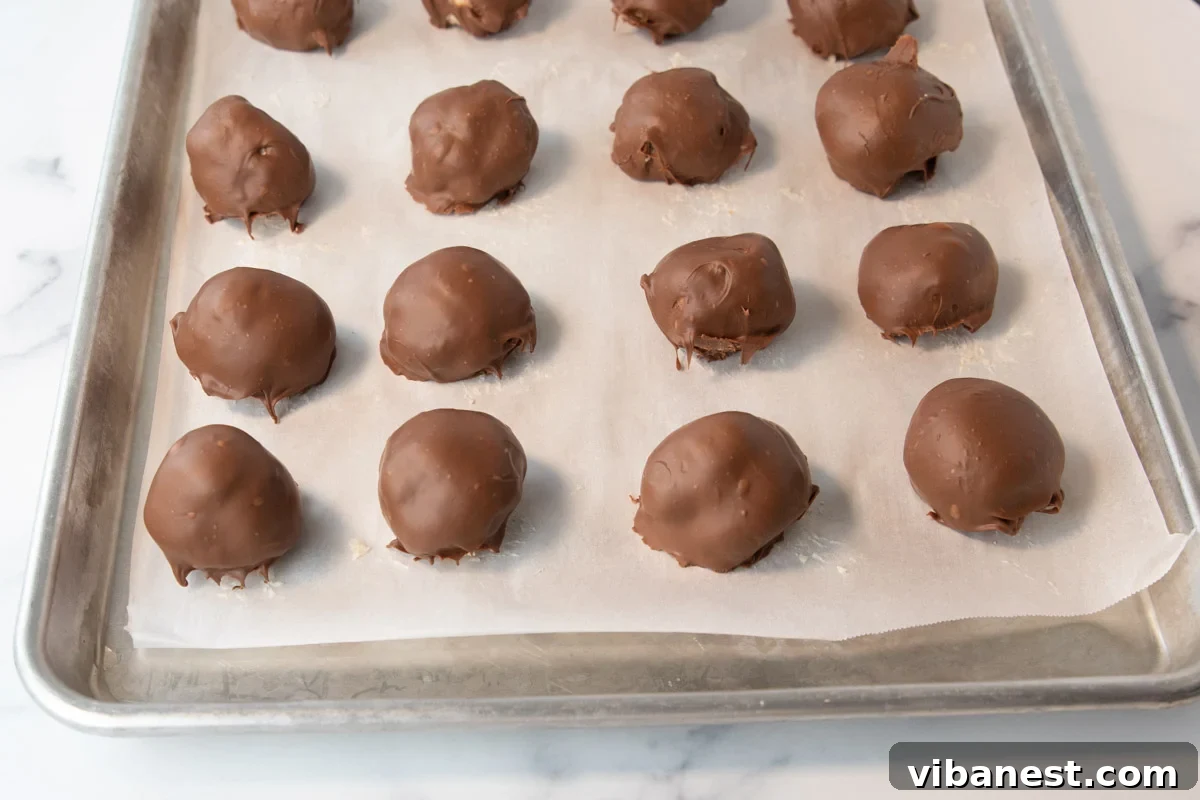Chilled Cheesecake Delights 6 how to dip no bake cheesecake bites