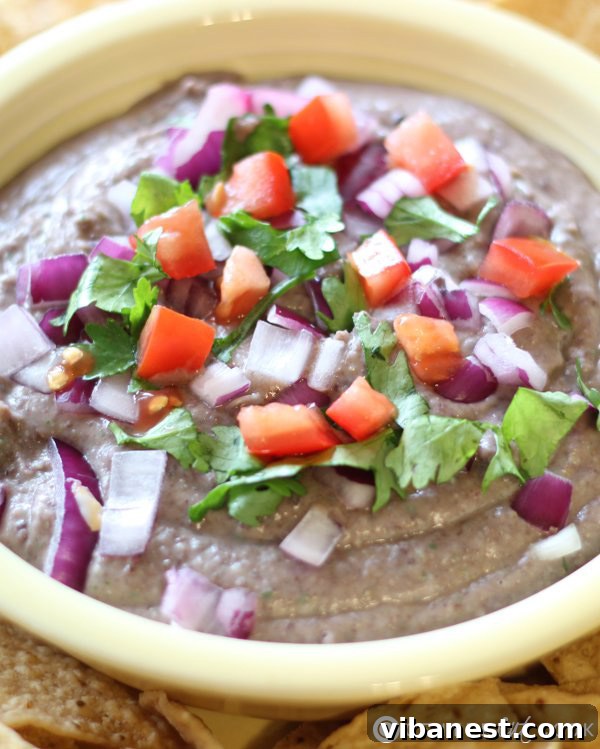 black-bean-hummus-2.jpg black bean hummus with chips