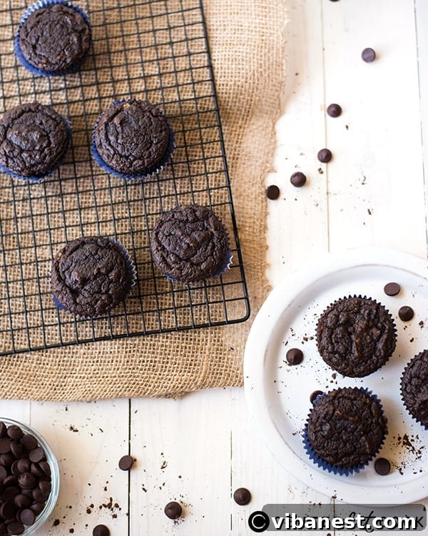 gluten-free-double-chocolate-muffins-2.jpg Two freshly baked gluten-free double chocolate muffins on a wire rack