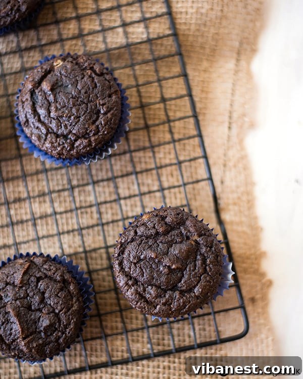 gluten-free-double-chocolate-muffins-3.jpg A close-up of a perfectly baked gluten-free double chocolate muffin, showing its moist interior