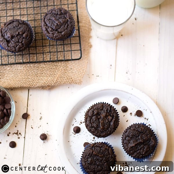 gluten-free-double-chocolate-muffins-4.jpg A serving of eight freshly baked gluten-free double chocolate muffins, ready to be enjoyed