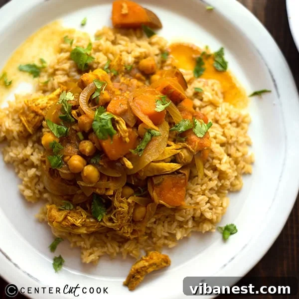 slow-cooker-chicken-curry-4.jpg Serving of slow cooker chicken curry with brown rice and fresh cilantro, showcasing its rich texture.