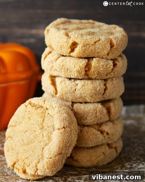 Autumn Spice Pumpkin Cheesecake Cookies 2 Soft and creamy Pumpkin Cheesecake Cookies coated in graham cracker crumbs, perfect for fall.