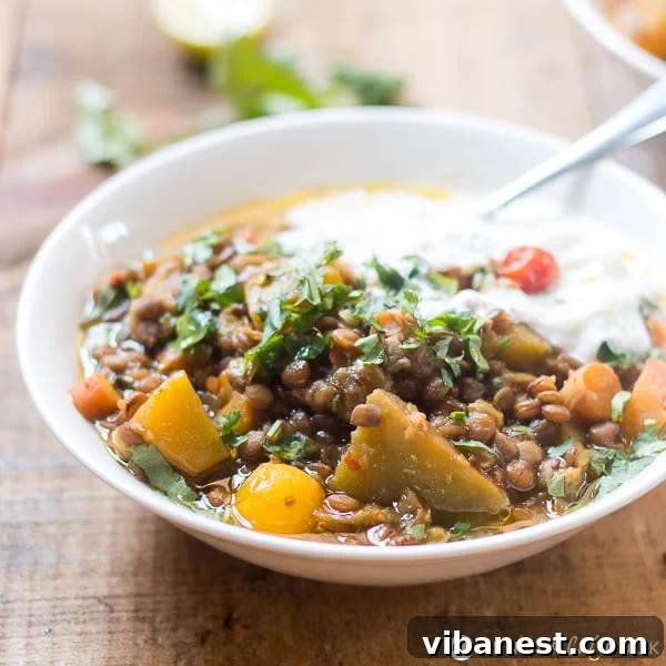 Lentil Pumpkin Stew in Pot Lentil Pumpkin Stew Overhead Shot