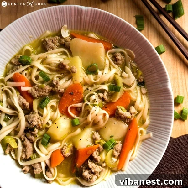 A perfectly prepared bowl of Asian Chicken Noodle Soup, garnished with green onions and ready to eat