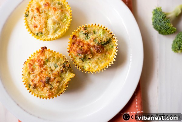 broccoli-quinoa-egg-muffins-2.jpg Two perfectly baked broccoli quinoa egg muffins on a plate, ready to be enjoyed