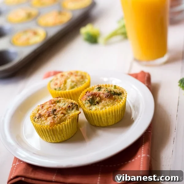 broccoli-quinoa-egg-muffins-4.jpg Freshly baked broccoli quinoa egg muffins cooling in a muffin tin, ready to be served or stored