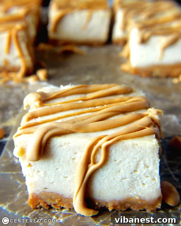 Irresistible Peanut Butter Cheesecake Texture Close-up of Creamy Peanut Butter Cheesecake