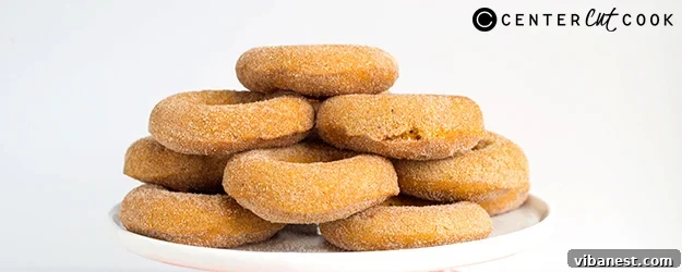 Delicious Baked Pumpkin Donuts with Cinnamon Sugar