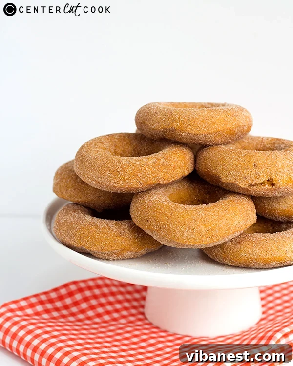 Baked Pumpkin Donuts Detail Close-up of baked pumpkin donuts on a cooling rack