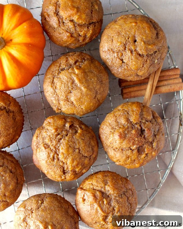 pumpkin-banana-muffins-3.jpg pumpkin banana muffins 3