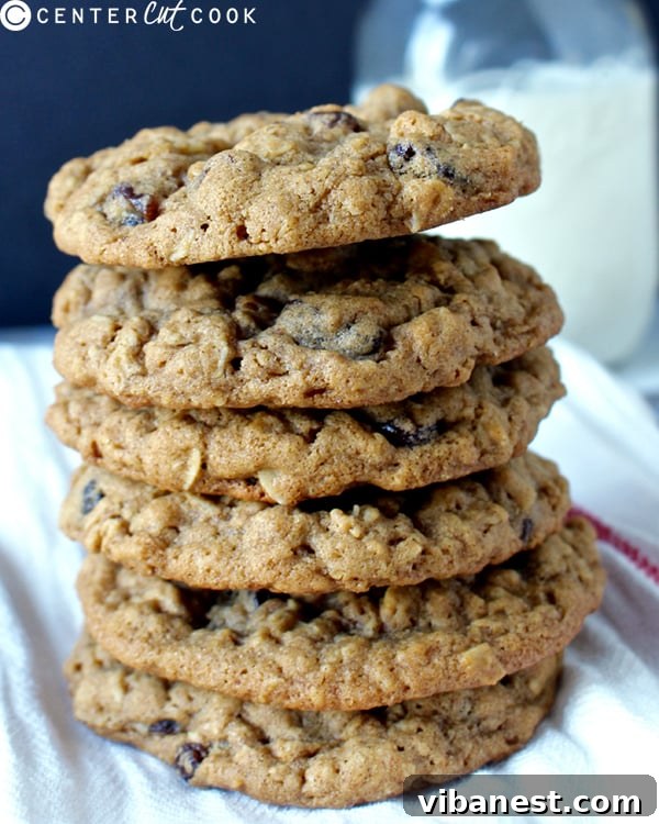 Close-up of baked oatmeal raisin cookies with golden edges