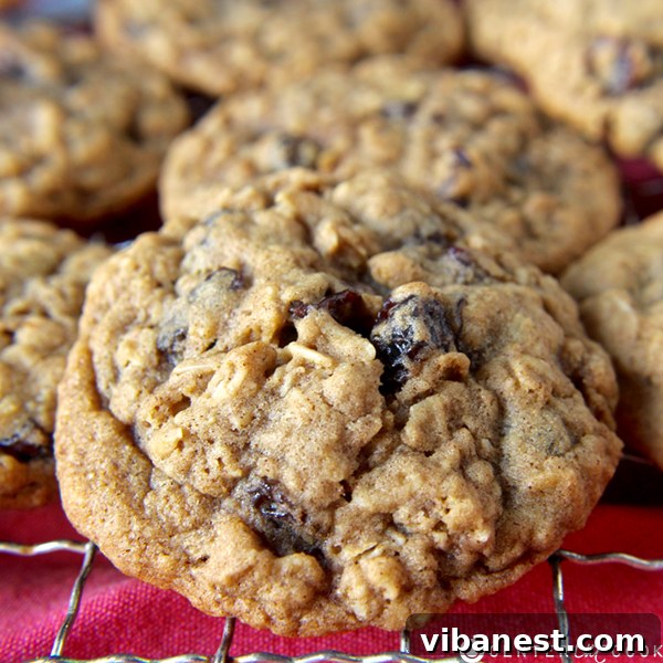 Freshly baked oatmeal raisin cookies cooling on a wire rack
