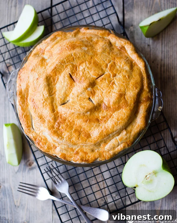 homemade apple pie 2