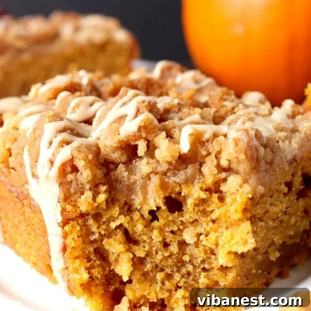 Spiced Vegan Pumpkin Coffee Cake 3 Full view of a delicious dairy-free pumpkin coffee cake
