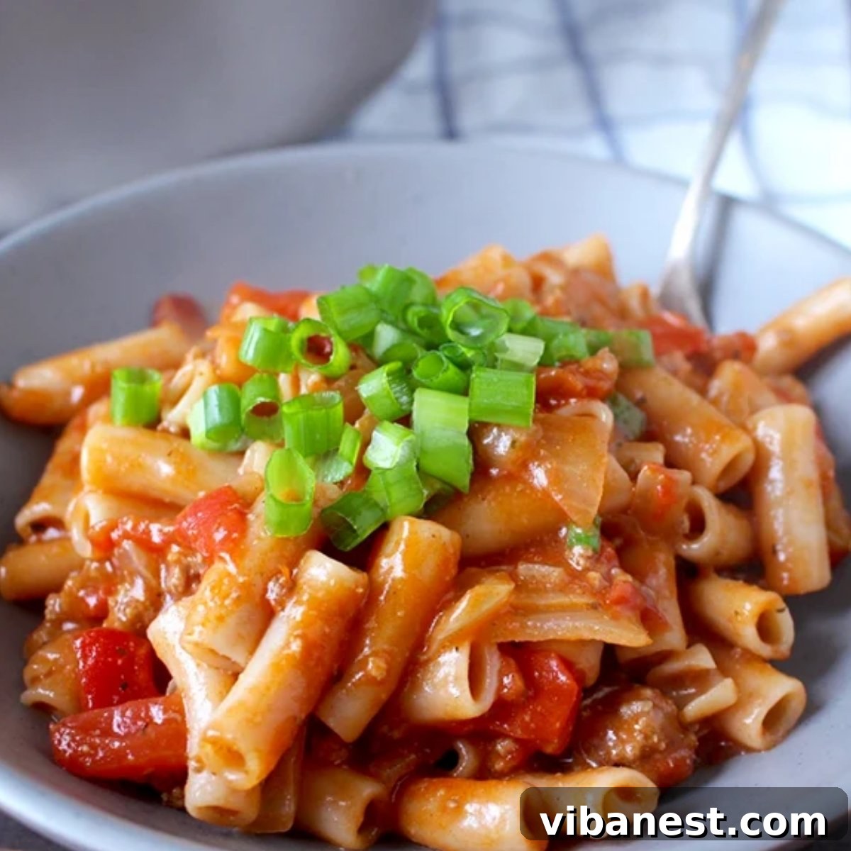 Easy Weeknight American Goulash 5 a plate of American goulash garnished with green onion, ready to eat