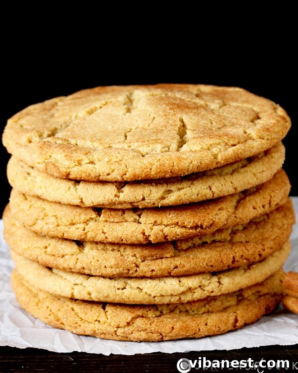 jumbo_snickerdoodle_cookies2.jpg jumbo_snickerdoodle_cookies2