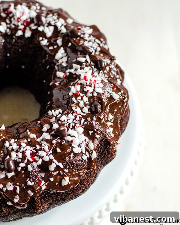 chocolate peppermint bundt cake 2