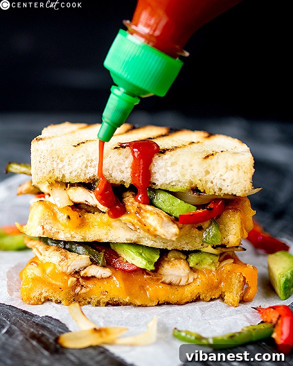 mexican-grilled-cheese-3.jpg mexican grilled cheese 3