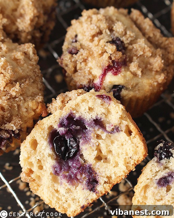Homemade Blueberry Crumb Muffins Delicious Homemade Blueberry Crumb Muffins Fresh from the Oven