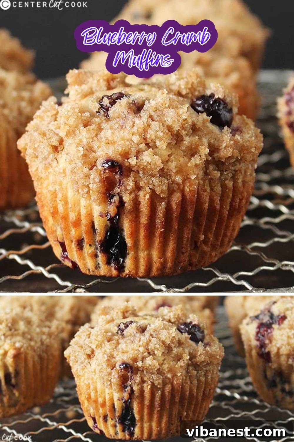 Rustic Blueberry Streusel Muffins 2 Close-up of a golden-brown blueberry crumb muffin