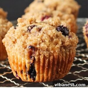 Rustic Blueberry Streusel Muffins 4 blueberry muffin with crumb topping