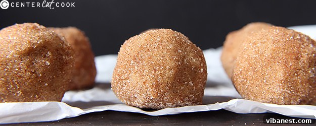 snickerdoodle-cookie-dough-bites-1.jpg snickerdoodle cookie dough bites 1