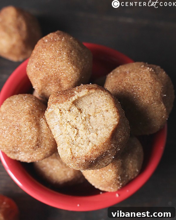 snickerdoodle-cookie-dough-bites-2.jpg snickerdoodle cookie dough bites 2