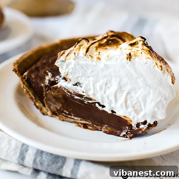 Finished s'mores pie with toasted marshmallow, ready for slicing