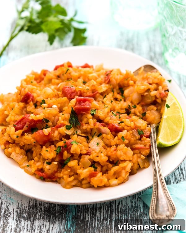 Spanish Rice close up