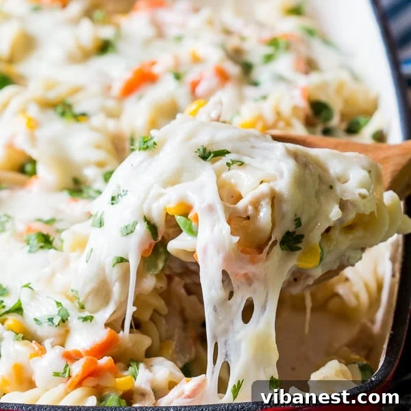 Cooked chicken pot pie noodle casserole in a baking dish, freshly out of the oven