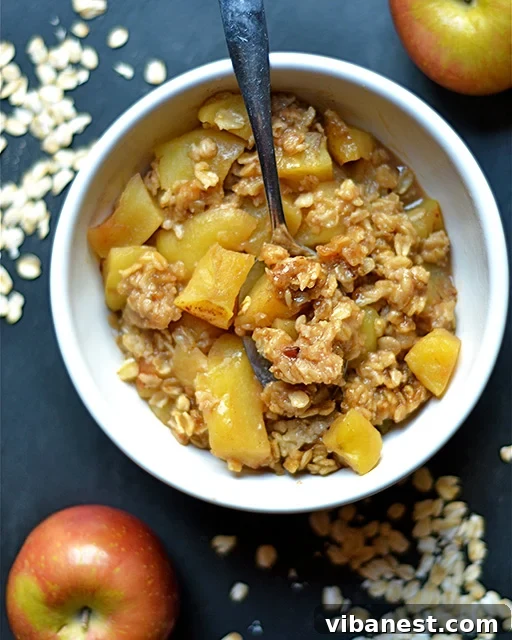 Instant Pot Apple Crisp - A Quick and Easy Dessert Instant Pot Apple Crisp in a bowl, ready to serve