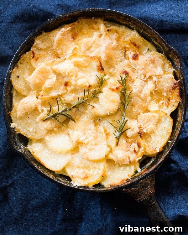creamy-au-gratin-potatoes-3.jpg creamy au gratin potatoes 3