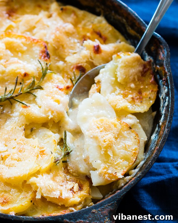 creamy-au-gratin-potatoes-2.jpg creamy au gratin potatoes 2