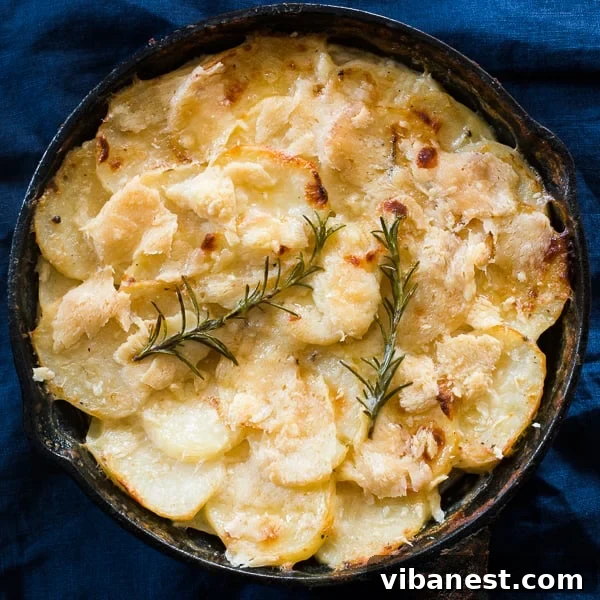 creamy-au-gratin-potatoes-4.jpg creamy au gratin potatoes 4