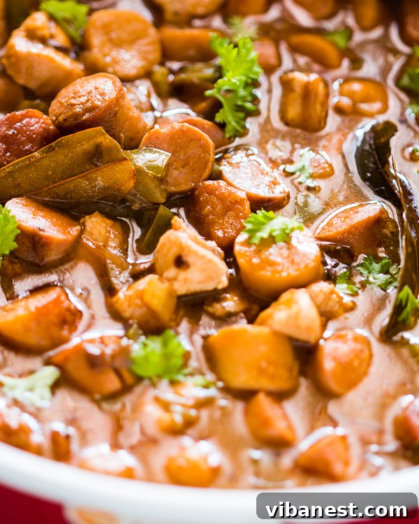 Chicken Sausage Gumbo close-up