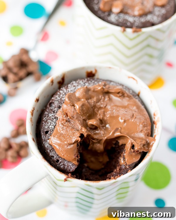 nutella-mug-cake-2.jpg Nutella Mug Cake close-up texture
