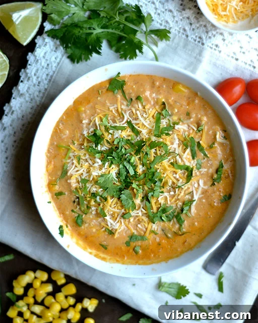 instant-pot-creamy-chicken-enchilada-soup-2.jpg instant pot creamy chicken enchilada soup 2