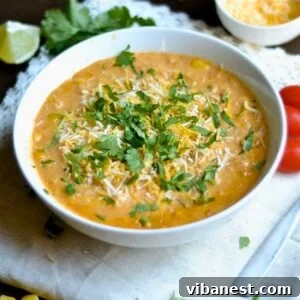 Instant Pot Creamy Chicken Enchilada Fiesta Soup 2 instant pot enchilada soup