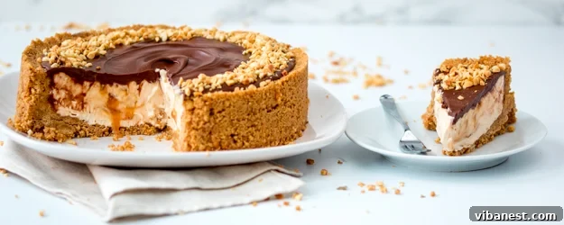 easy nutella salted caramel cheesecake main image