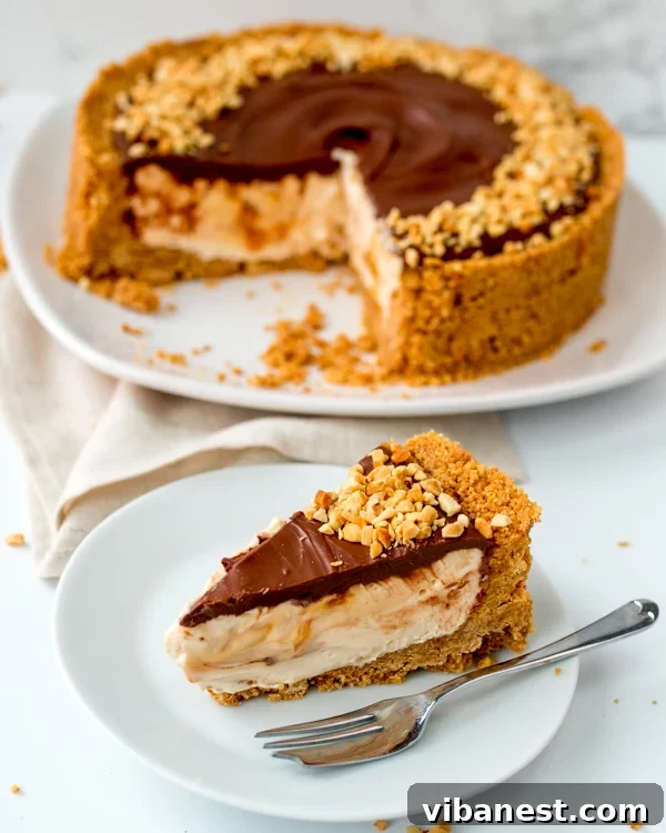 easy-nutella-salted-caramel-cheesecake-4.jpg easy nutella salted caramel cheesecake close up