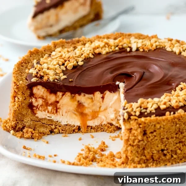 easy-nutella-salted-caramel-cheesecake-5.jpg easy nutella salted caramel cheesecake recipe image