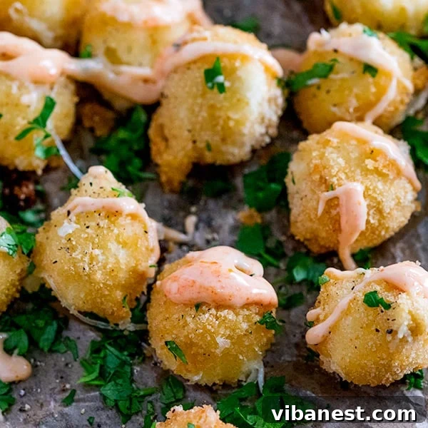 crispy-mozzarella-bites-honey-sriracha-mayo-5.jpg crispy mozzarella bites honey sriracha mayo 5
