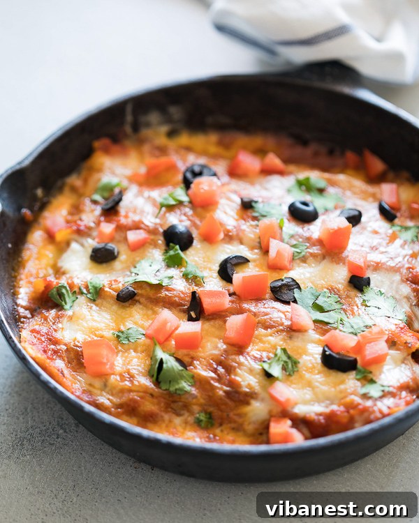 one-pot-stovetop-enchiladas-3.jpg one pot stovetop enchiladas 3