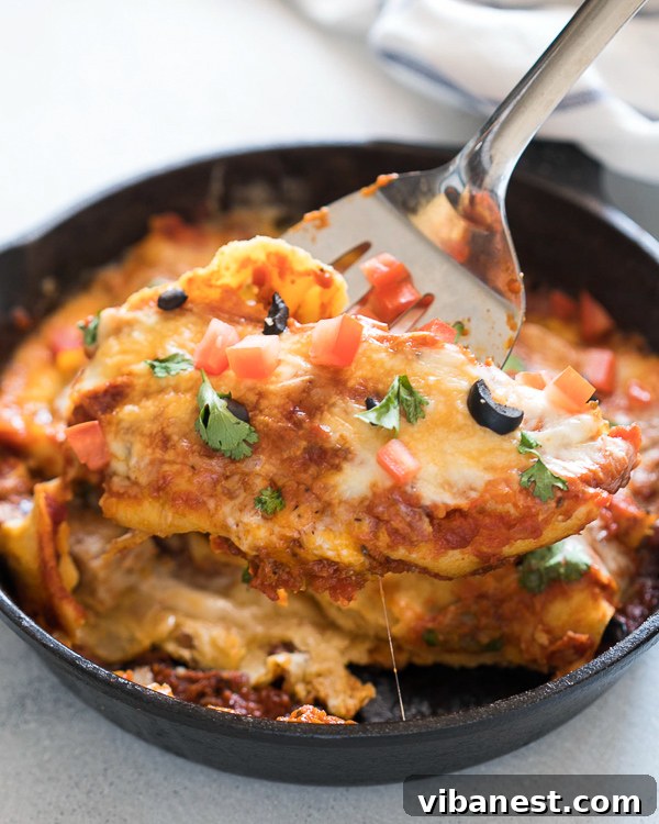 one-pot-stovetop-enchiladas-2.jpg one pot stovetop enchiladas 2