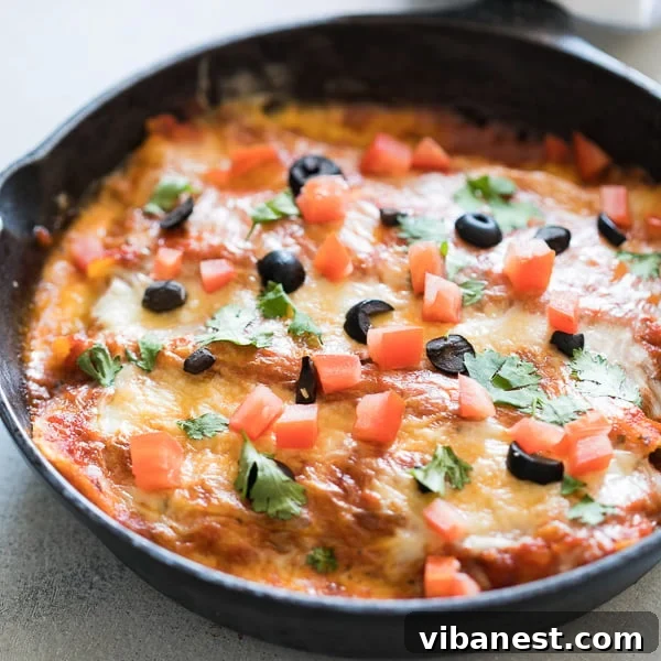 one-pot-stovetop-enchiladas-4.jpg one pot stovetop enchiladas 4